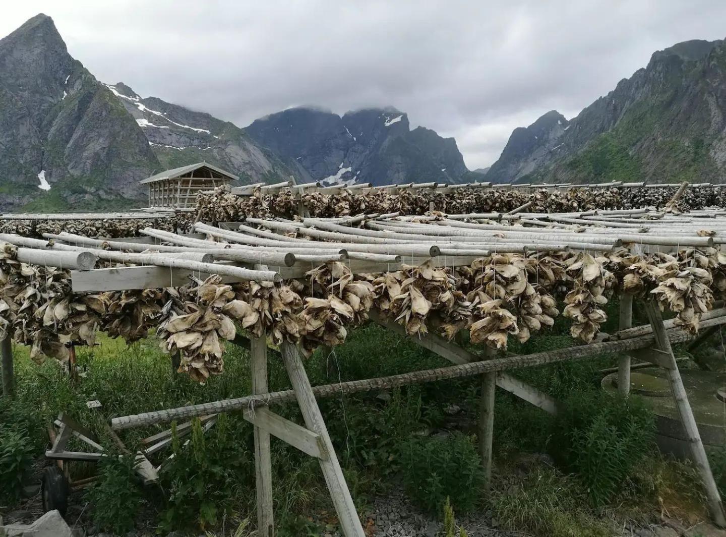 Lofoten Panoramic Luxury Home With Sauna Москенес Екстериор снимка