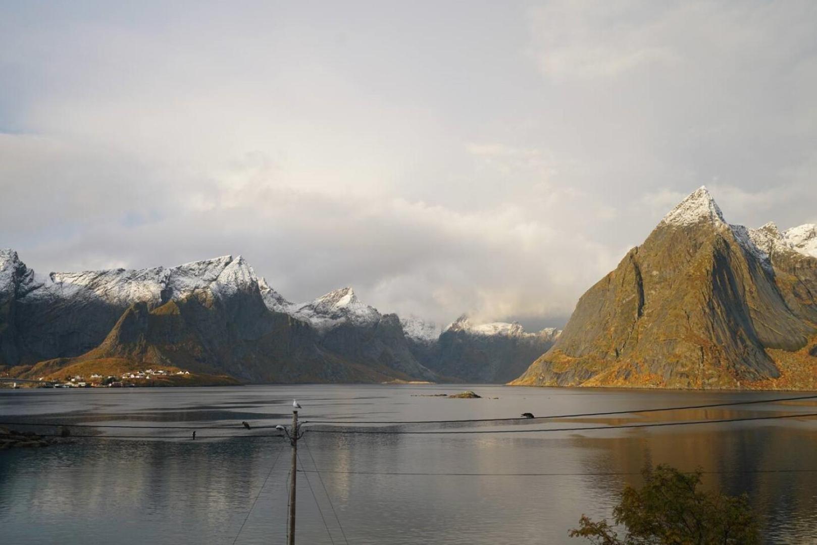 Lofoten Panoramic Luxury Home With Sauna Москенес Екстериор снимка
