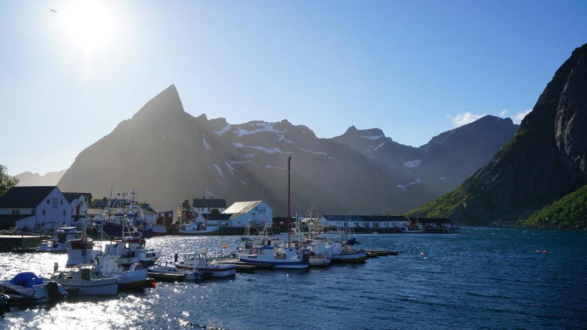 Lofoten Panoramic Luxury Home With Sauna Москенес Екстериор снимка